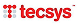 Tecsys Logo